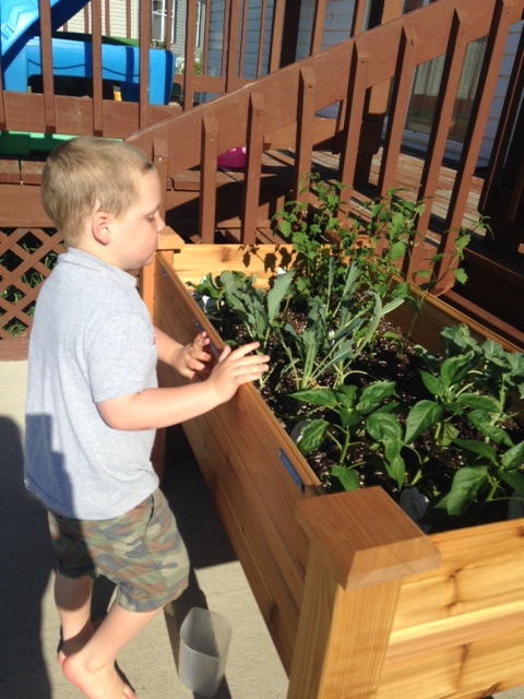 Accessible raised bed