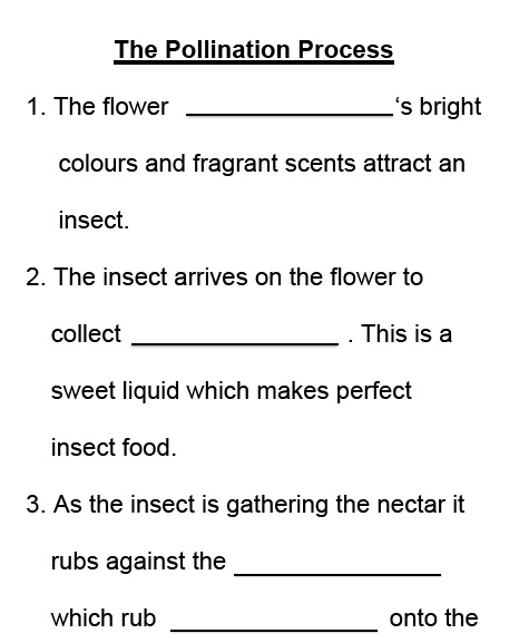 Adapted worksheet for The Pollination Process