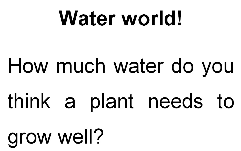 Adapted Water World worksheet