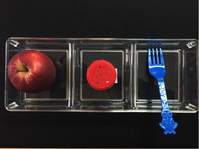 Apple, cinnamon, fork in plastic boxes