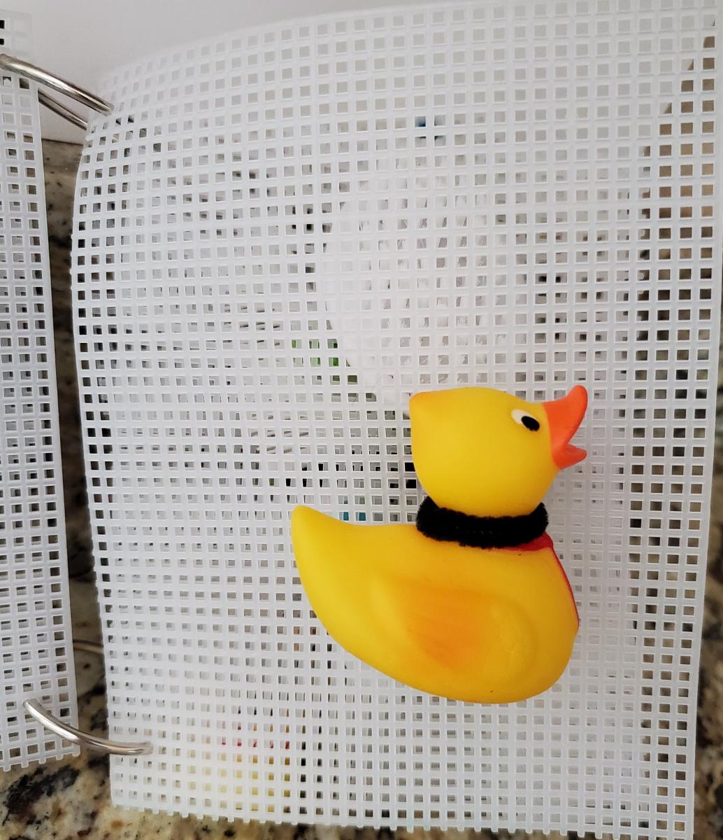 Rubber duck in bath book