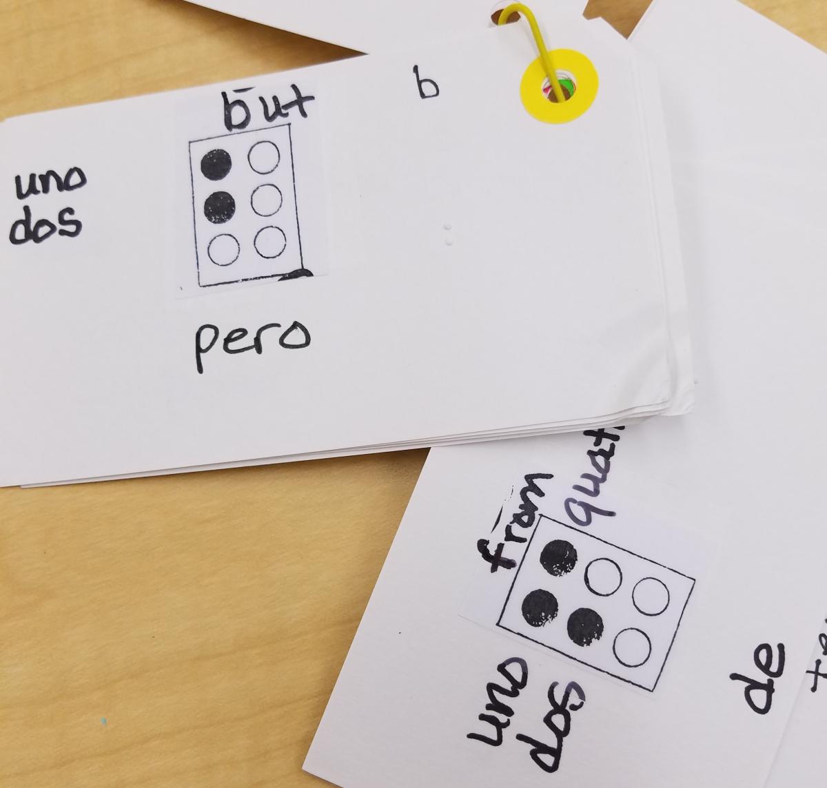 Bilingual braille flash cards