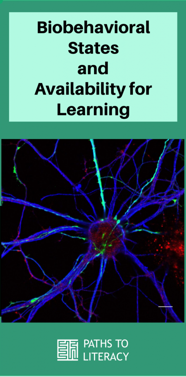 Collage of biobehavioral states