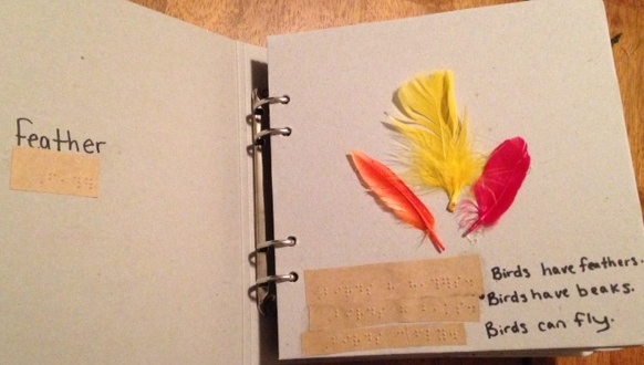 bird book 