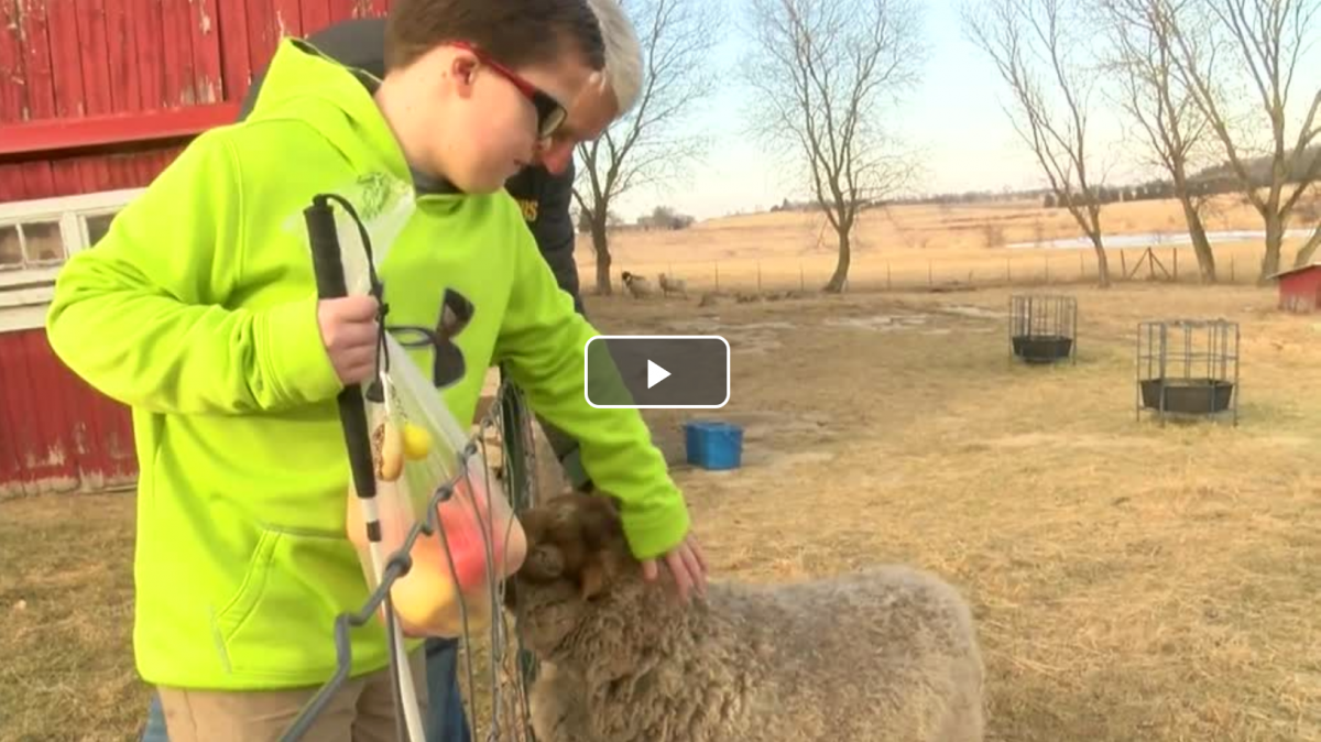 Video of boy meeting Peanut