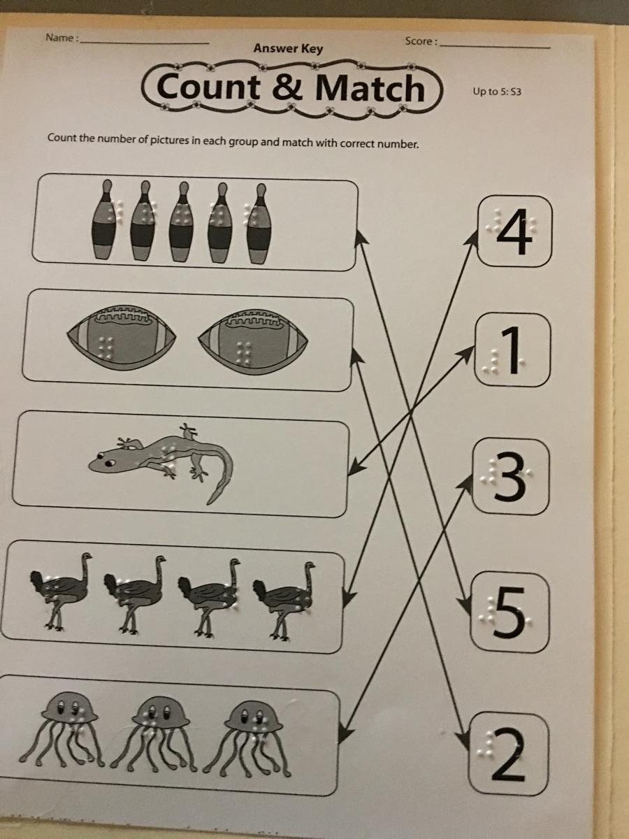 Click to view braille Count & Match worksheet. Braille count and match worksheet