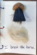 Click to view brush. Page of experience book showing brushing horse