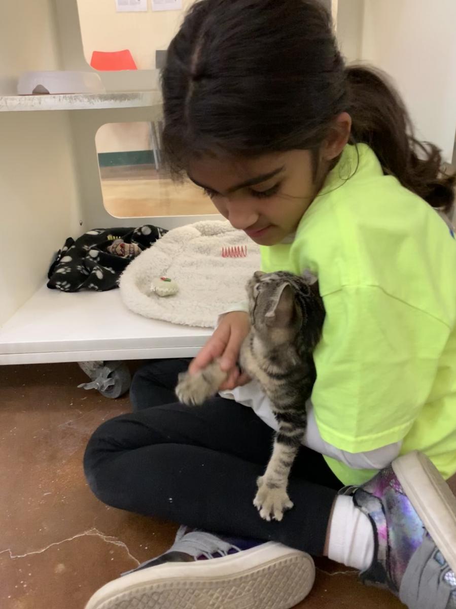 Pia pets kittens at an animal shelter