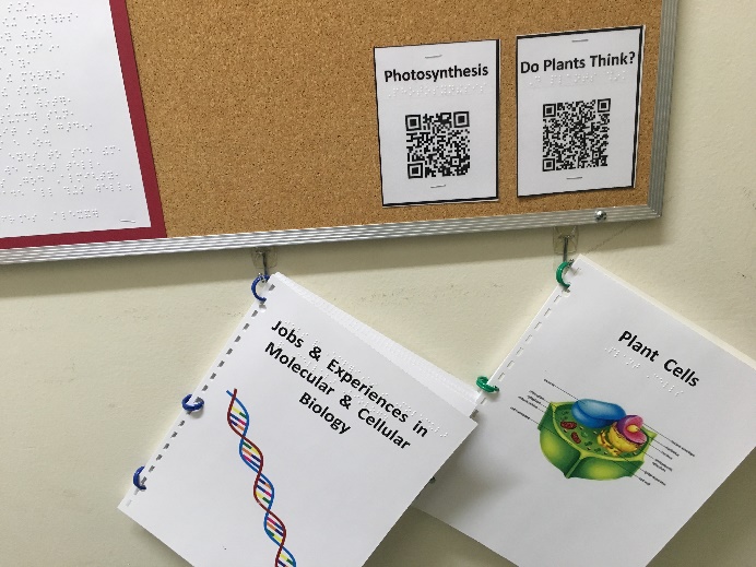 booklets hanging from a bulletin board below two cards labeled with a QR code, print, and braille