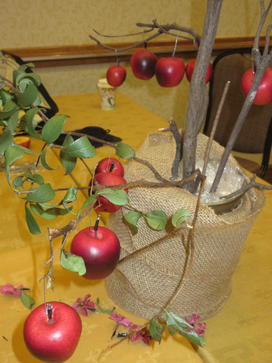 Apples hanging on a tree