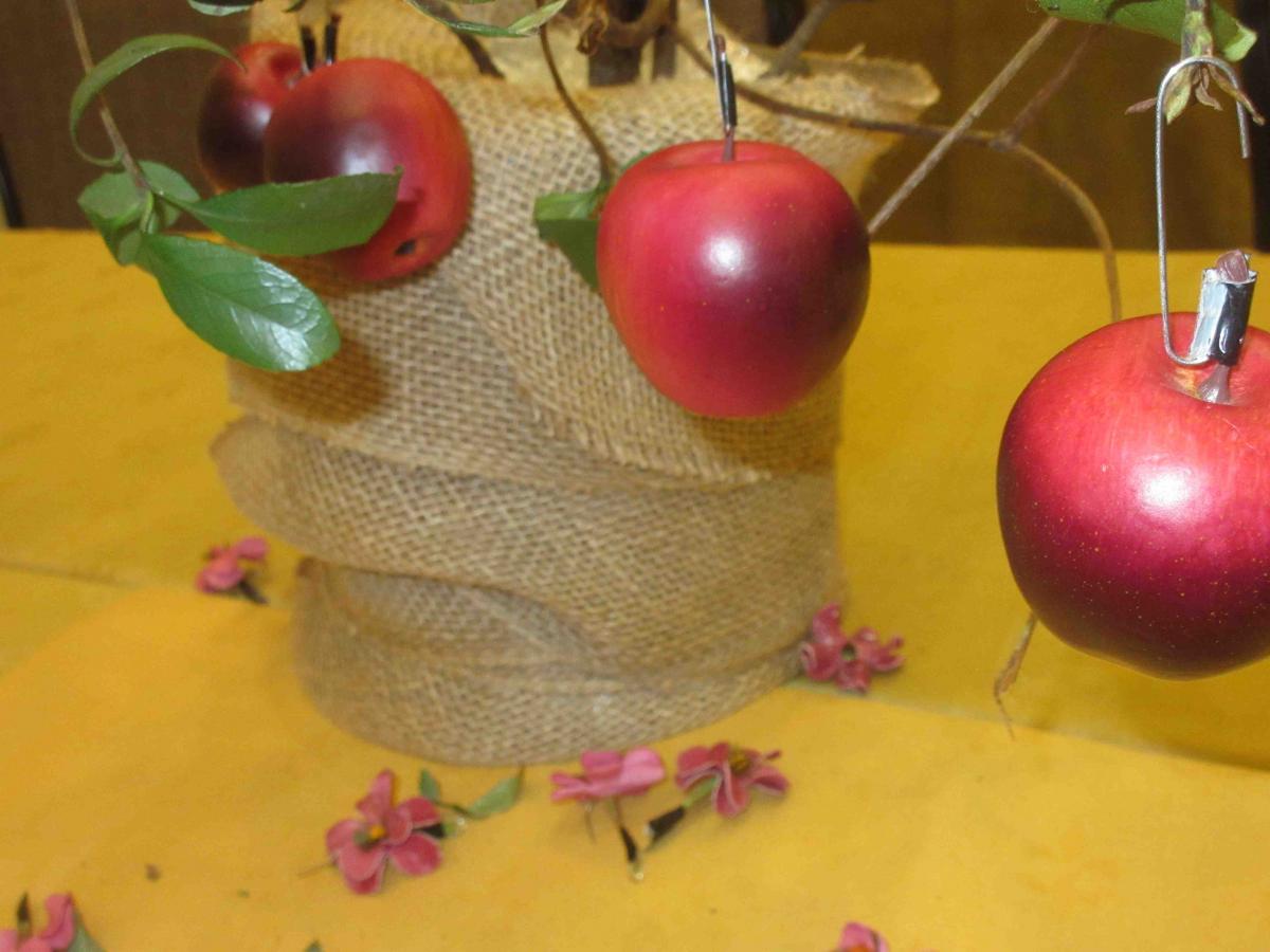 Hanging apples on a 