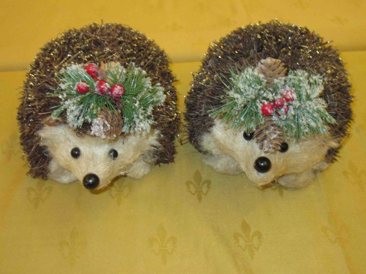Two hedgehogs 
