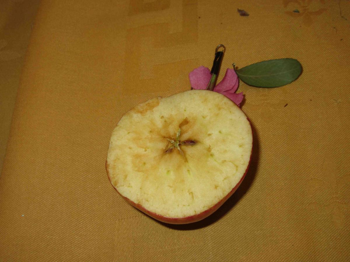 Apple sliced in half Sliced apple