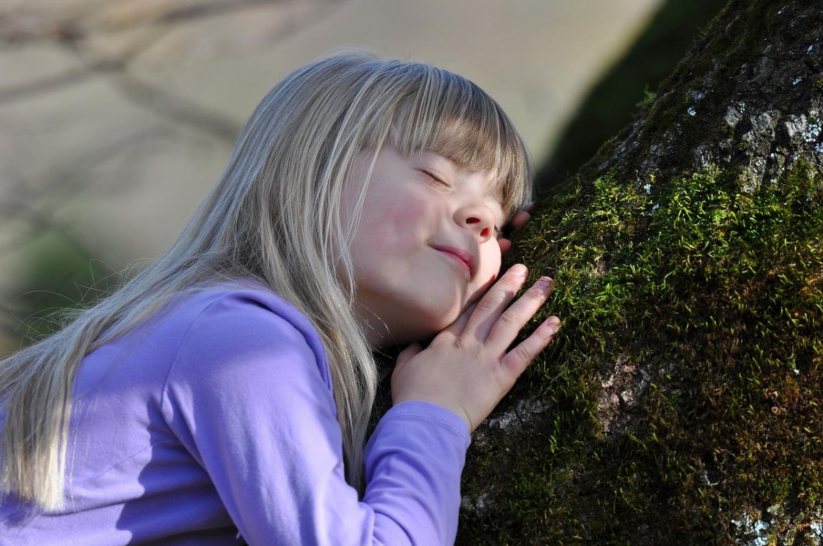 Child holding branch and touching tree bark