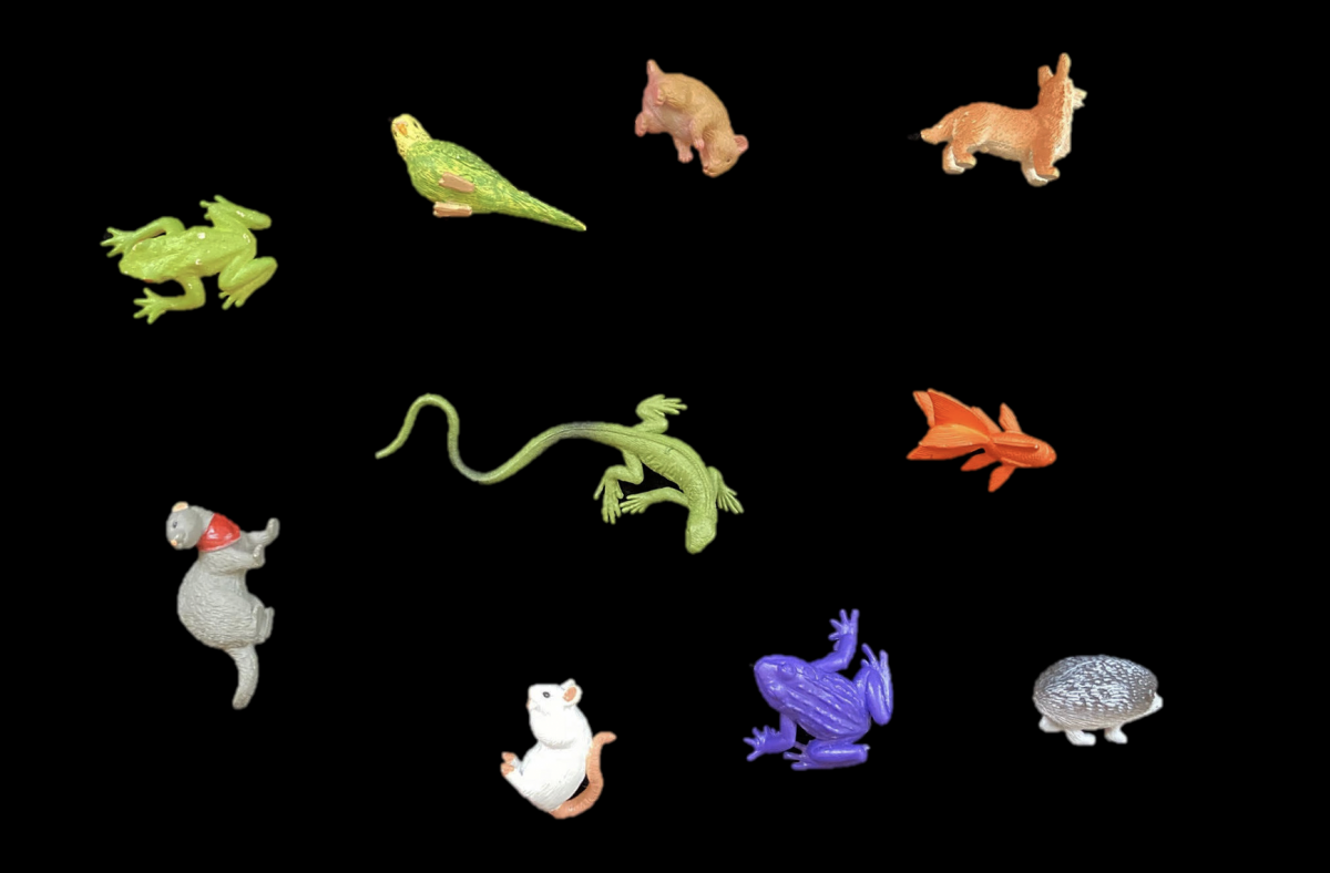 Multiple small plastic animals on a black background