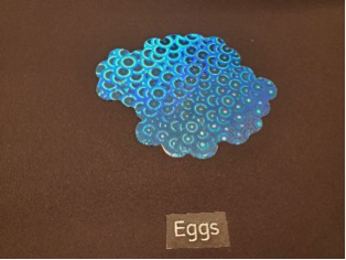 Eggs Eggs