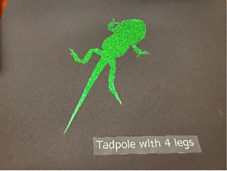Tadpole with 4 legs