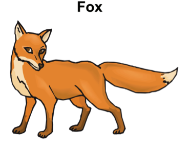 Drawing of a fox