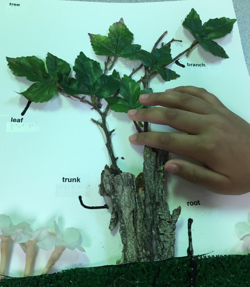 Examining tree poster