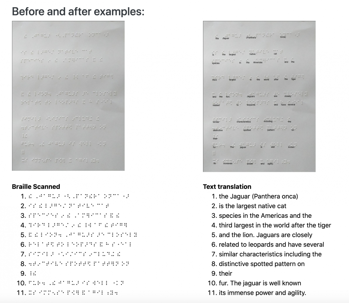 Example of image of braille translated into text