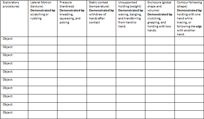 a rubric for monitoring the use of exploratory procedures