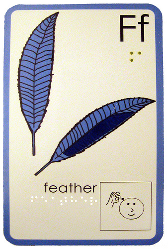 Alphabet card with braille, print, sign, and texture -- F for Feather