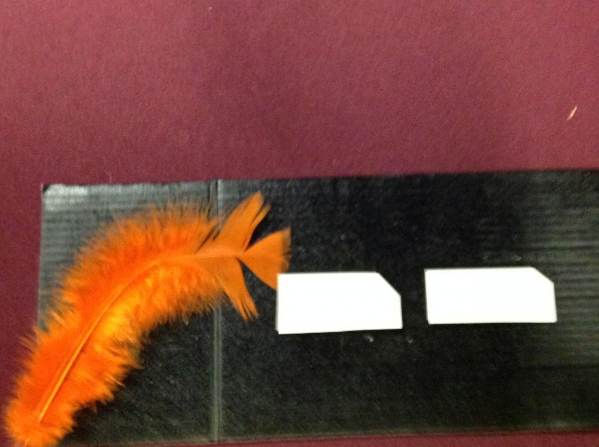 Feather with braille word cards