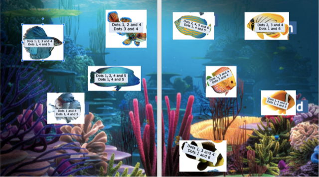 Answer Key for file fish game