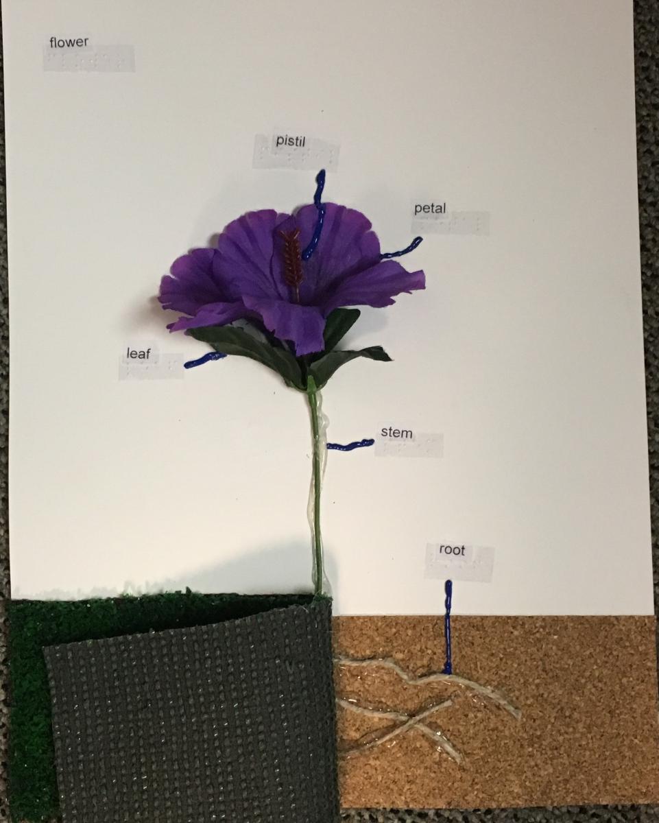 Peeling back grass to reveal roots