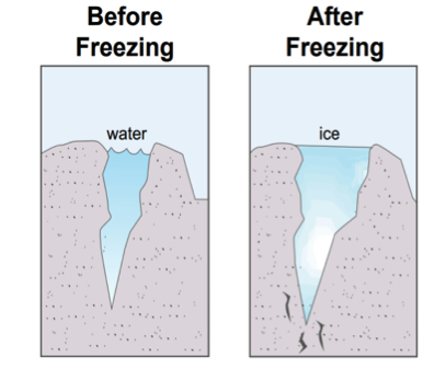 Before and after freezing images