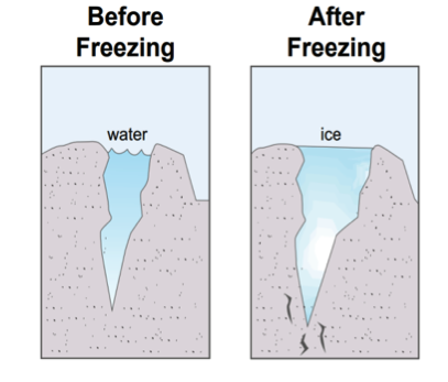 Before and after freezing images Before and after freezing images