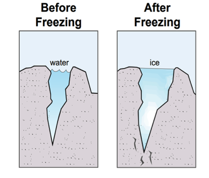 Before and after freezing images with black lines