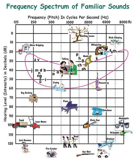 Frequency Spectrum of Familiar Sounds