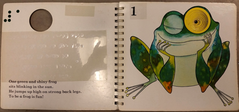 Page from frog book with braille