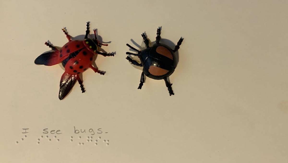 2 plastic bugs with braille text 