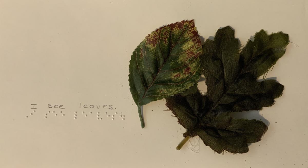 2 leaves with braille text 