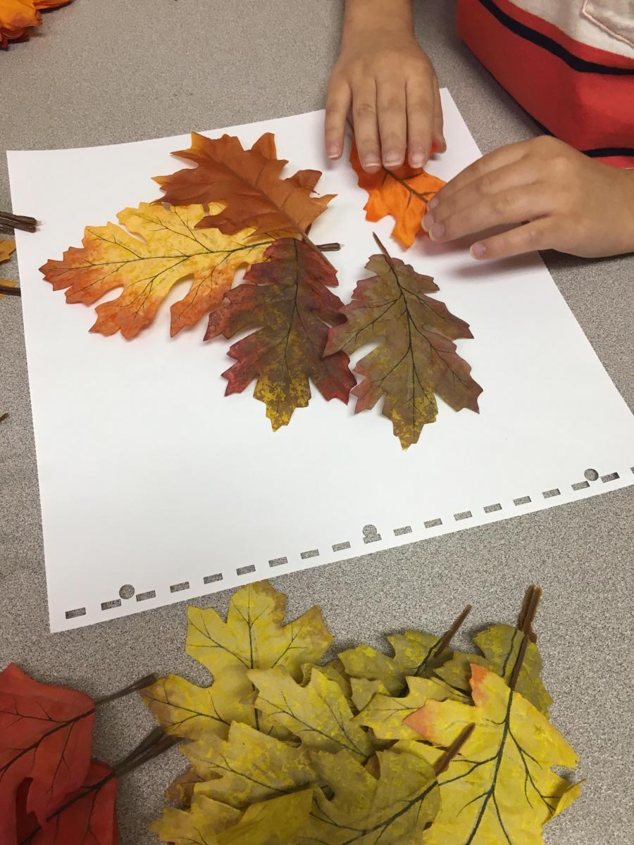 Arranging fall leaves on braille paper