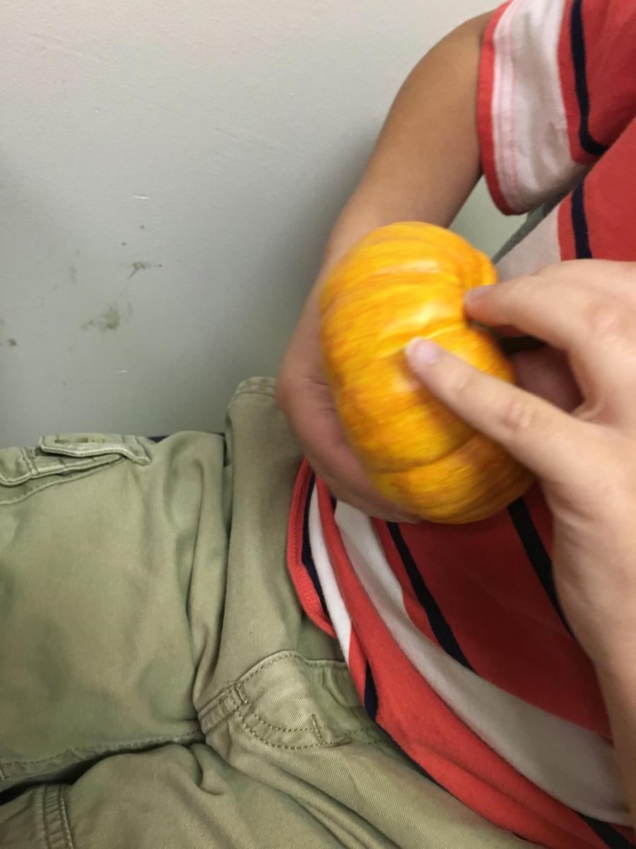 Examining small pumpkin Examining small pumpkin