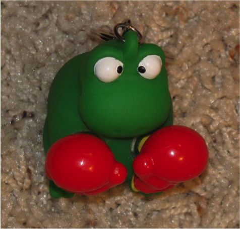 Boxing frog