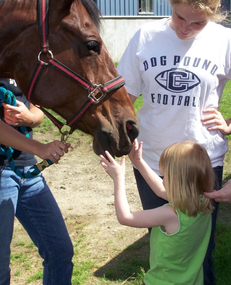 A young girl feels a horse during a field trip.