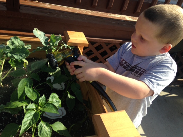 Boy watering garden with hose