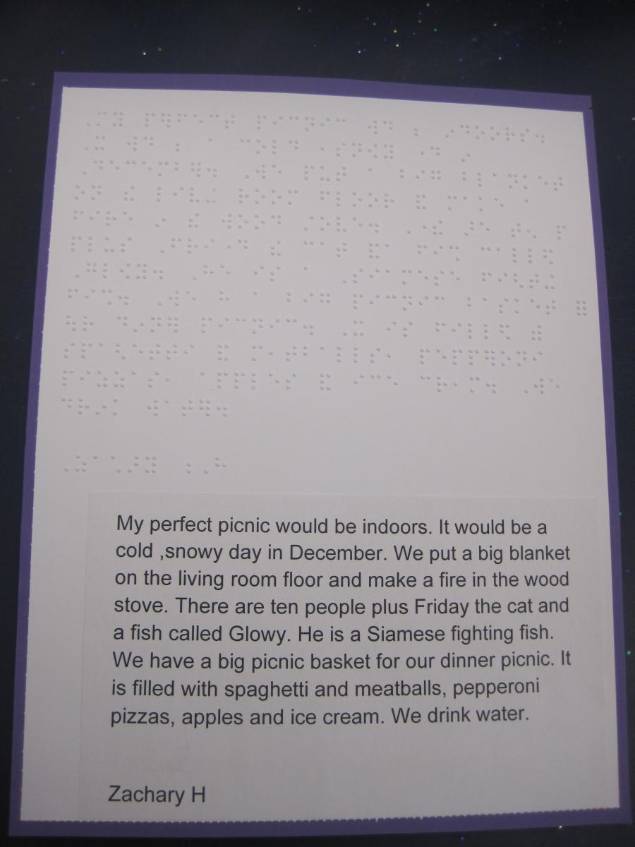 Click to view Text about picnic in print and braille