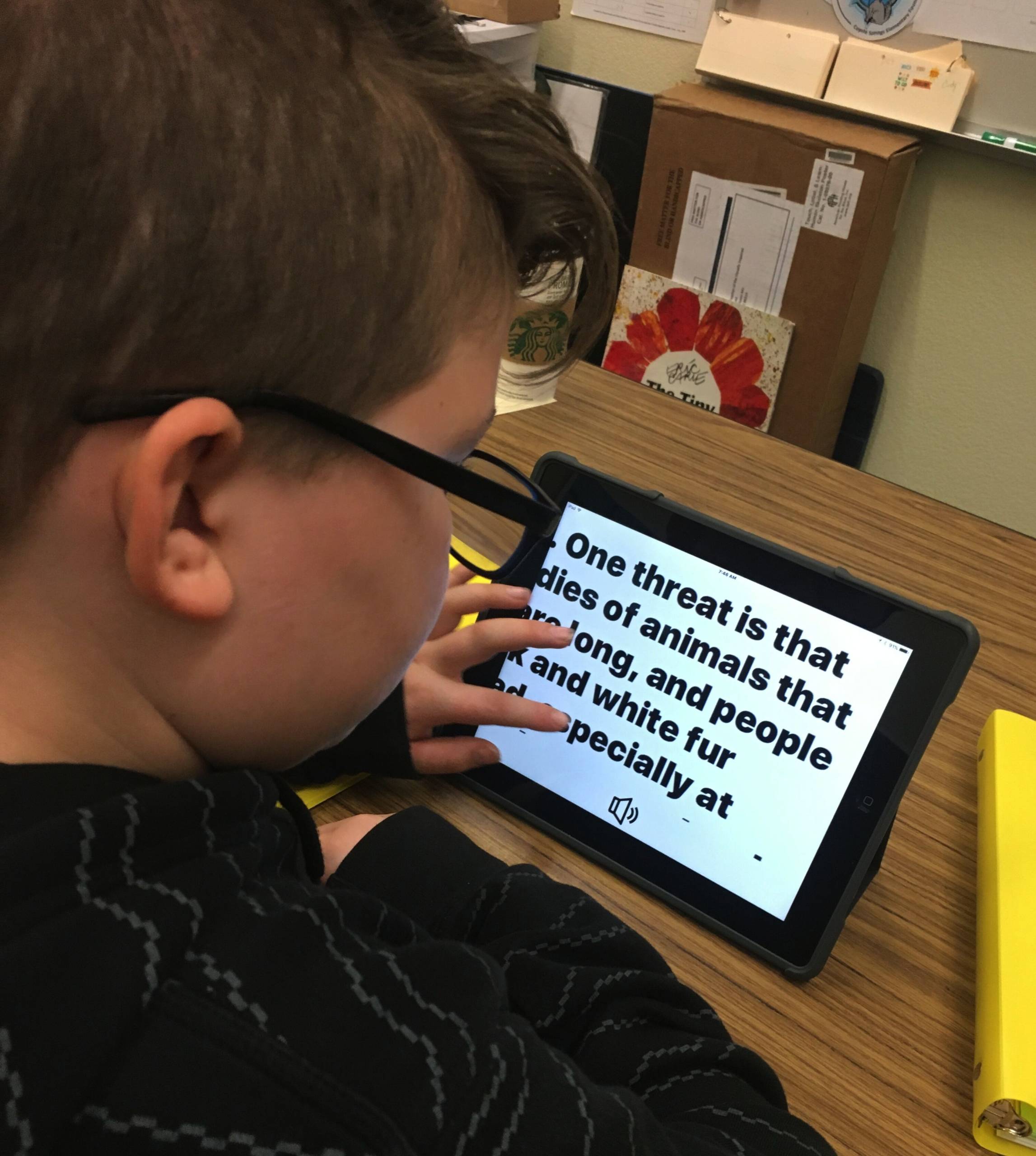 Tools to Support You in Having a Student with a Visual Impairment in Your  K-6 General Education Classroom – Paths to Literacy
