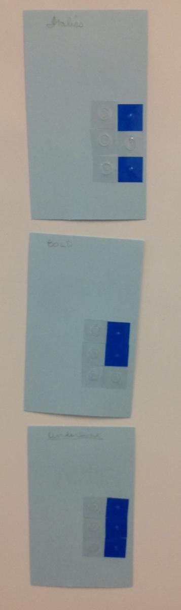 Click to view. Braille cards with bold, italics, underline, and capital