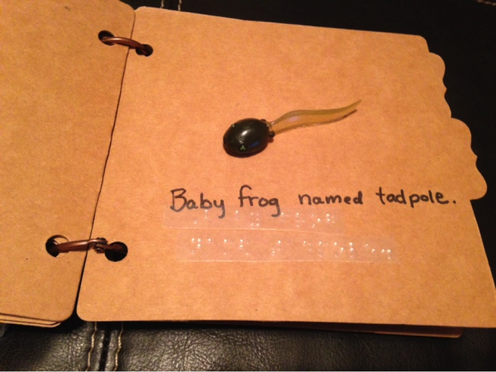 baby frog named tadpole