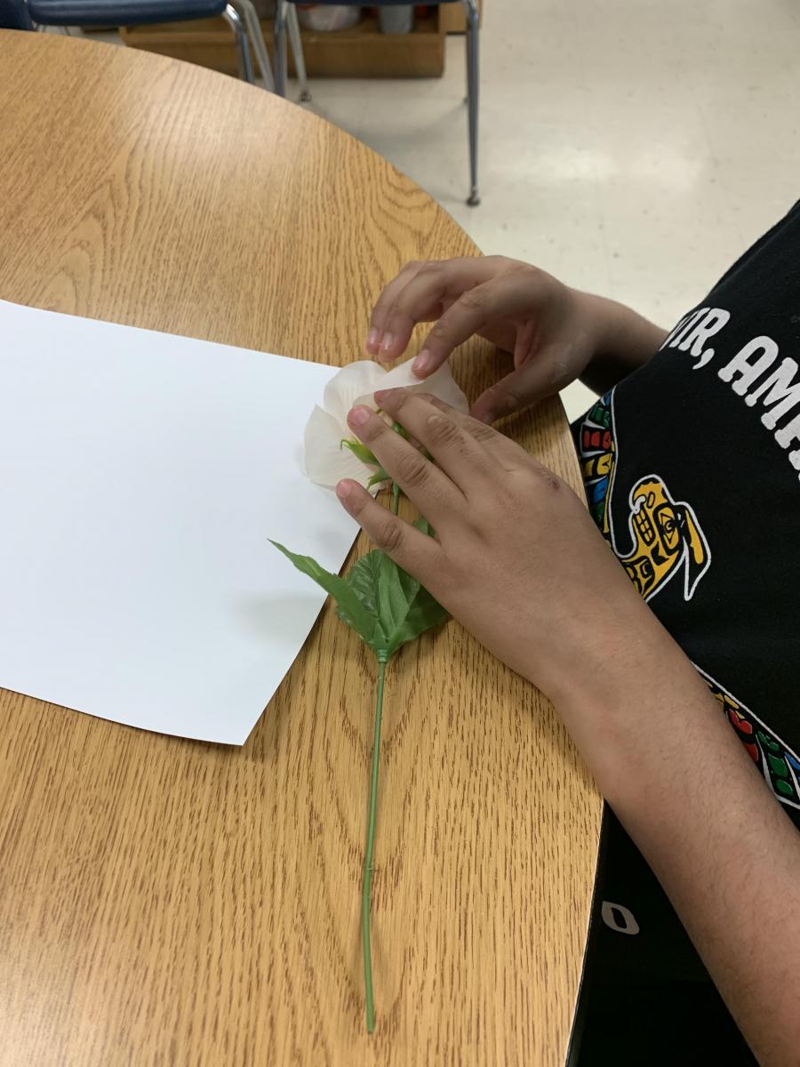 Exploring the parts of an artificial flower