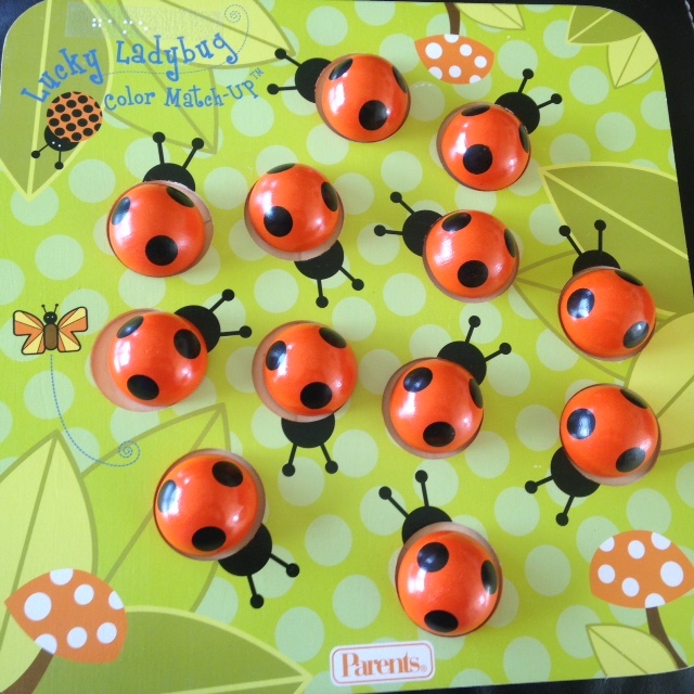 Lucky Ladybug Color Match-Up
