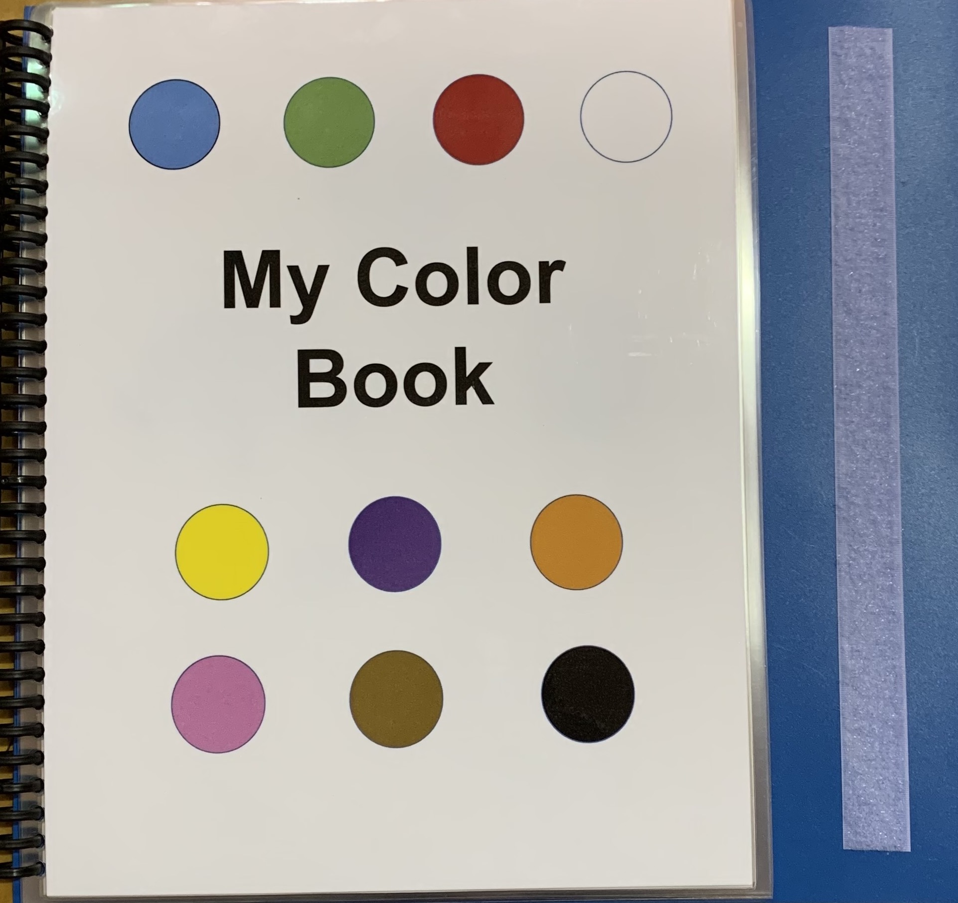 Adapted Color Books - Practice Colors & Build Vocabulary with