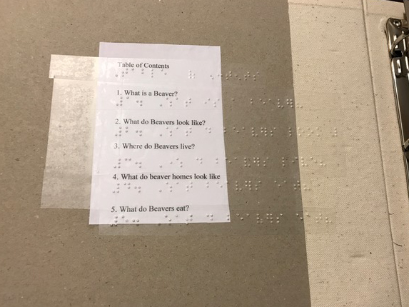Table of contents with braille labels