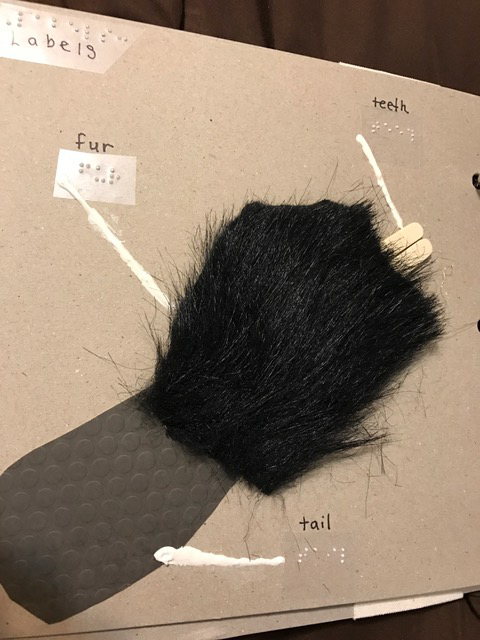a plush beaver tail with parts labeled in braille